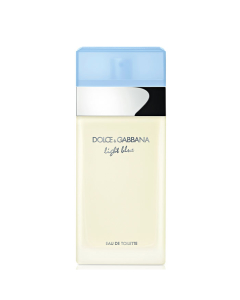 Dolce & Gabbana Light Blue 100ml Eau de Toilette Spray