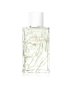 Rochas Homme 100ml Eau de Toilette Spray