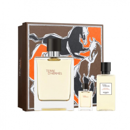 Hermes Terre D'Hermes Eau de Toilette 100ml Spray Gift Set