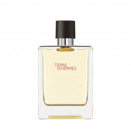 Hermes Terre D'Hermes Eau de Toilette 100ml Spray