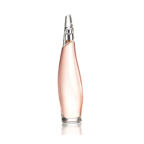 DKNY Liquid Cashmere Eau de Parfum 100ml Spray