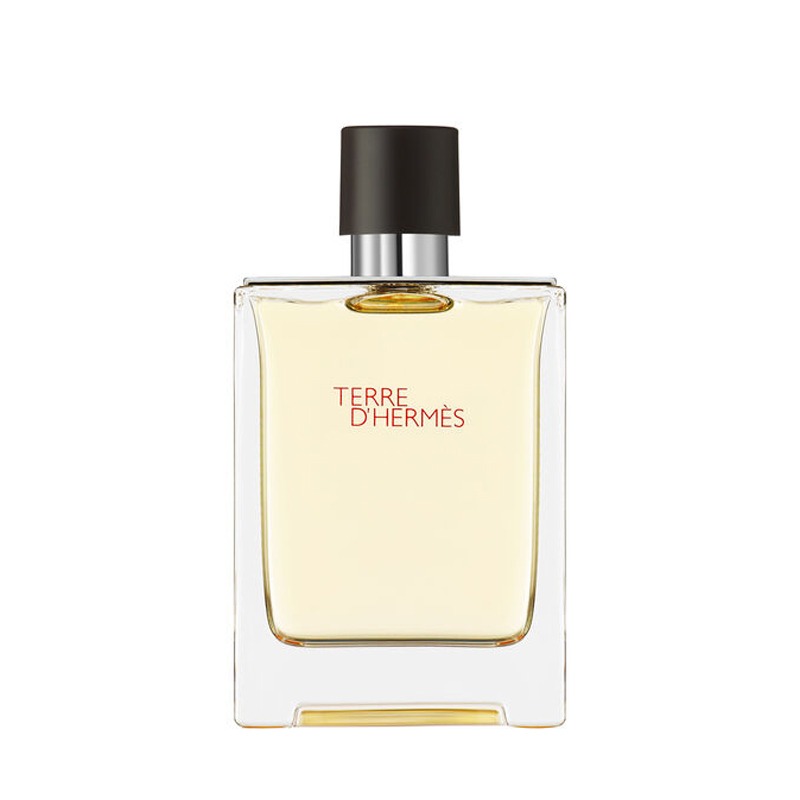 Hermes Terre D'Hermes Eau de Toilette 100ml Spray
