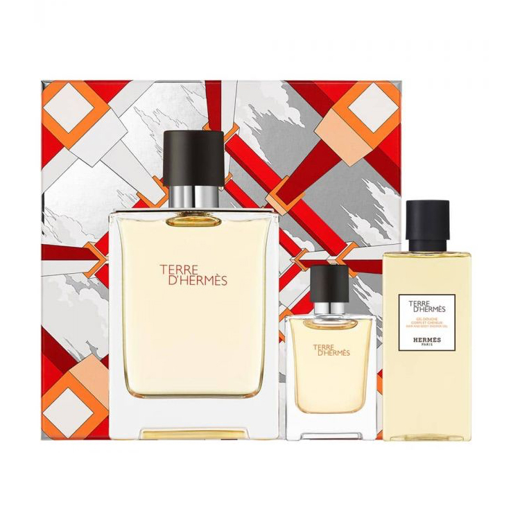 Hermes Terre D'Hermes Eau de Toilette 100ml Spray Gift Set