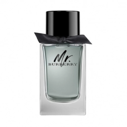 Burberry Mr. Burberry Eau de Toilette 100ml Spray