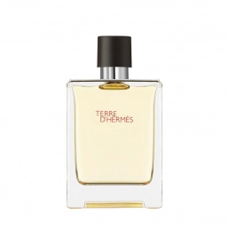Hermes Terre D'Hermes Eau de Toilette 100ml Spray