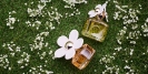 Iconic Scents: A Guide to Mugler Fragrances for Men and Women