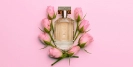 10 Best Men's Perfume of All Time: Timeless Colognes